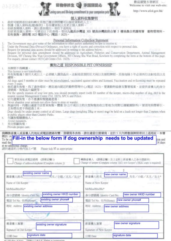 Dog Licence in Hong Kong | Ferndale Kennels & Cattery