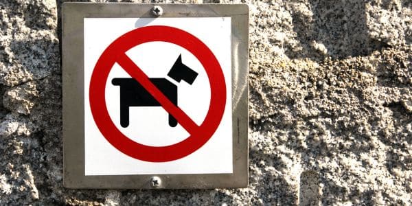 Banned Dog Breeds